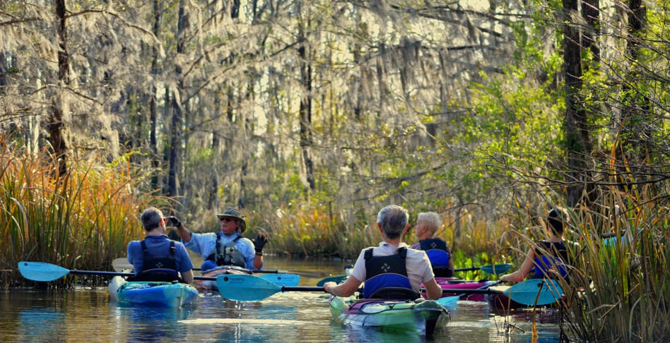 Exploring Estuaries: Rich Ecosystems to Discover by Kayak