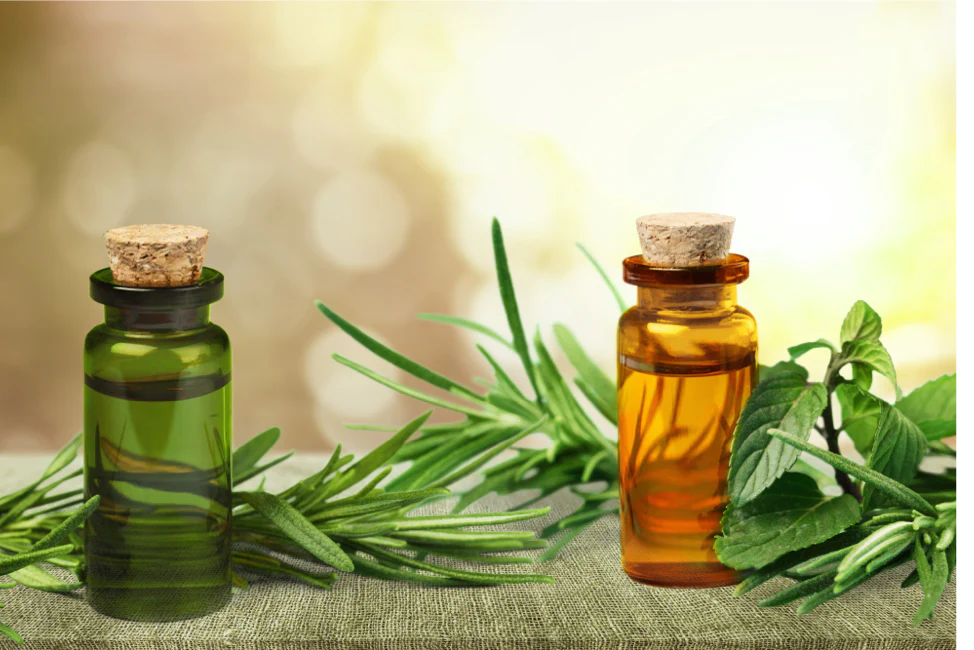 Tea Tree Oil: Nature’s Potent Remedy for Acne and Beyond