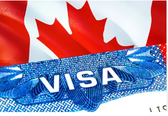 A Comprehensive Guide to Canada Visa for Malta and Estonian Citizens