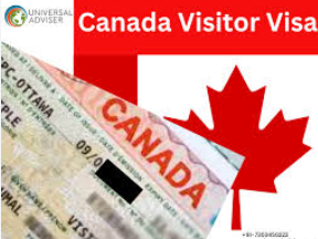 The Canada Medical Visa Process: A Comprehensive Guide for International Patients