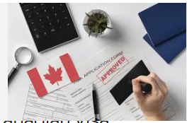 Essential Guide to Navigating Canada Visa Requirements