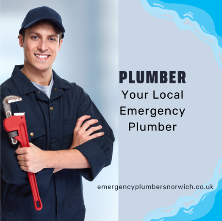 The Best Company Review in the UK: Local Plumbing Services, 24/7 Emergency Plumbing, and Expert Plumbing Repair Services