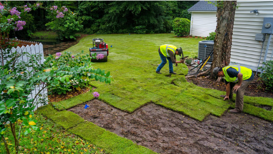 What Are Lawn Replacement Services and Why Do You Need Them?